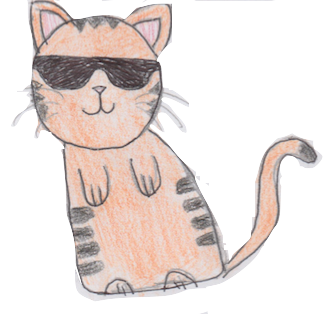 Sock Cat Stickers messages sticker-3