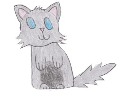 Sock Cat Stickers messages sticker-5