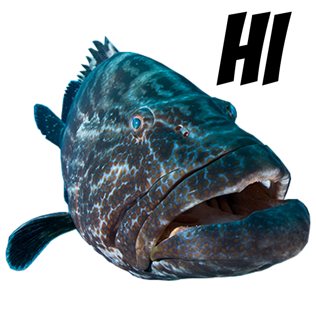 Fashion Fish messages sticker-0