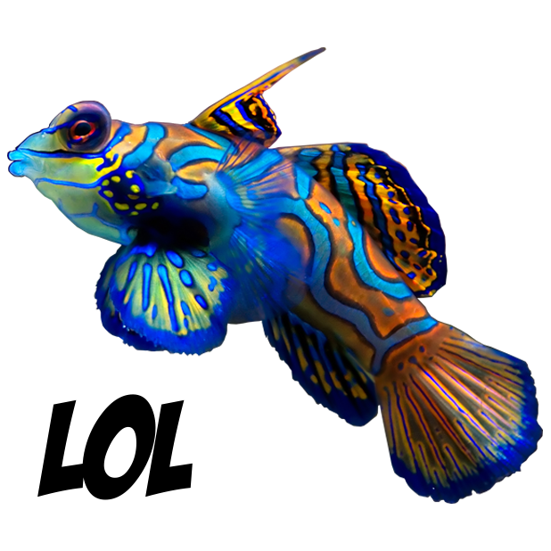 Fashion Fish messages sticker-2