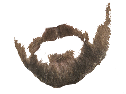 Beardify messages sticker-4