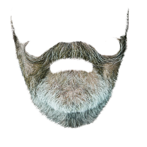 Beardify messages sticker-5