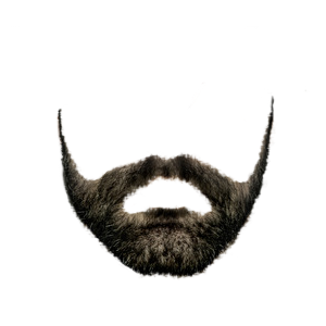 Beardify messages sticker-7