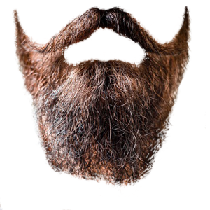 Beardify messages sticker-11