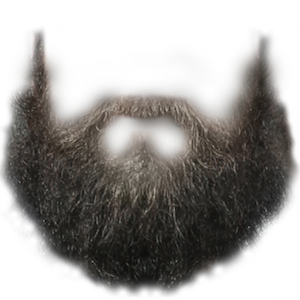Beardify messages sticker-2