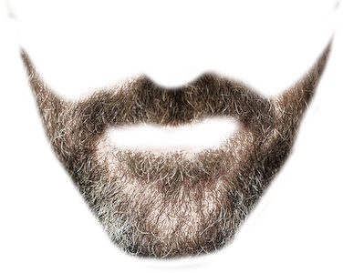Beardify messages sticker-1