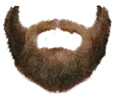 Beardify messages sticker-6