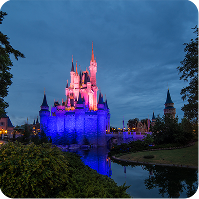 Daily Magic from Disney Photography Blog messages sticker-1