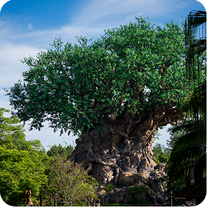 Daily Magic from Disney Photography Blog messages sticker-0