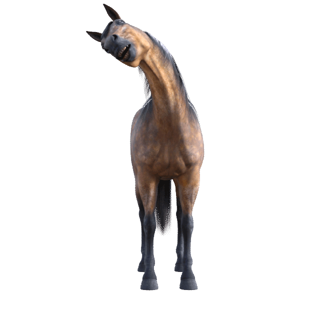 Jumpy Horse Stickers messages sticker-8