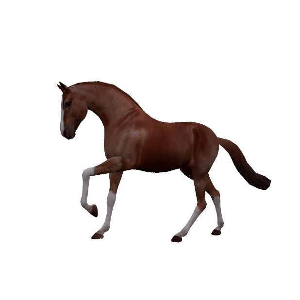 Jumpy Horse Stickers messages sticker-5