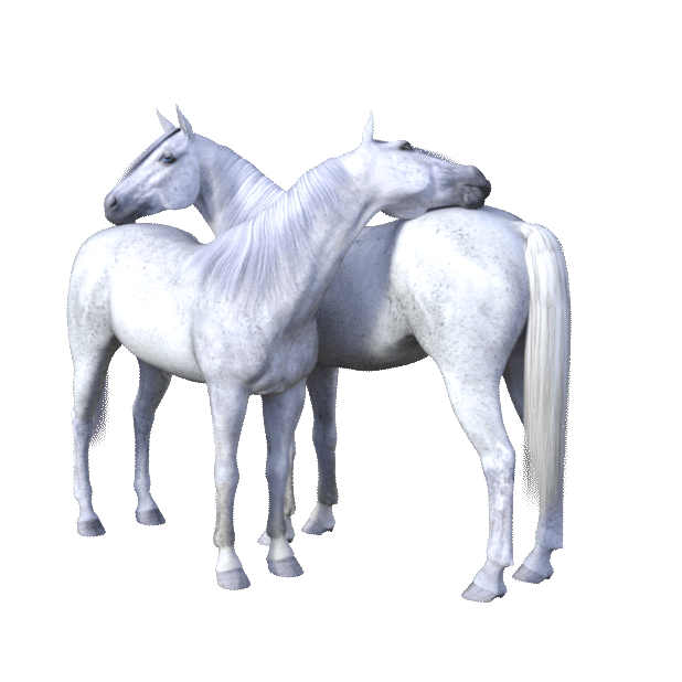Jumpy Horse Stickers messages sticker-2
