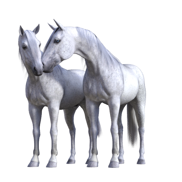 Jumpy Horse Stickers messages sticker-1