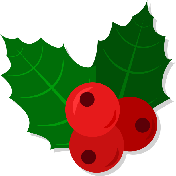 Christmas Video Cards messages sticker-10