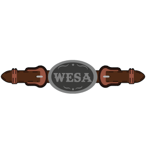 WESA: Denver Market messages sticker-3