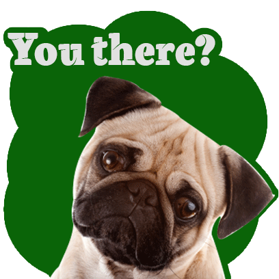 Handsome Pug Puppy Animated messages sticker-5