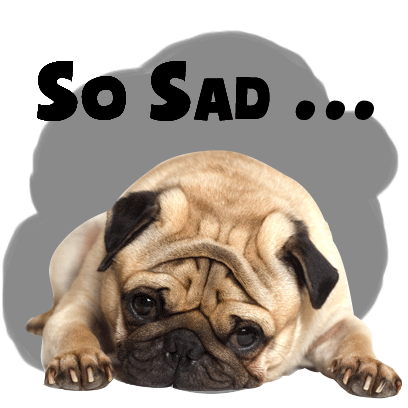 Handsome Pug Puppy Animated messages sticker-6