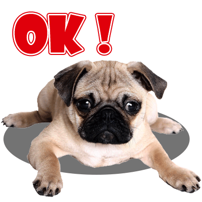 Handsome Pug Puppy Animated messages sticker-9
