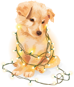 Stardoll Christmas Stickers messages sticker-4