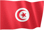 Arab Flags messages sticker-2