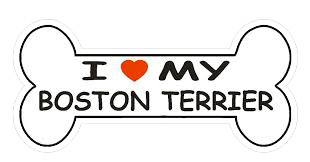 Boston Terrier Stickers messages sticker-11