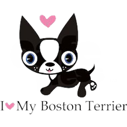 Boston Terrier Stickers messages sticker-0