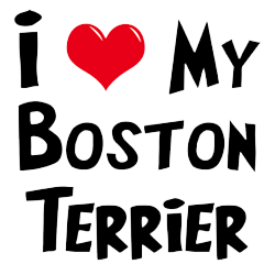 Boston Terrier Stickers messages sticker-5