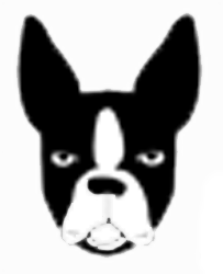 Boston Terrier Stickers messages sticker-2