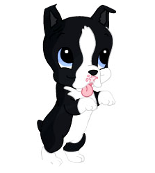 Boston Terrier Stickers messages sticker-8