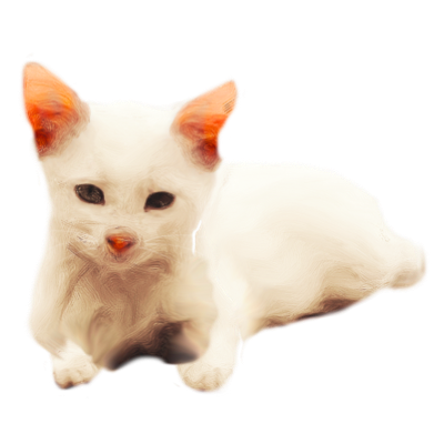 Cat's messages sticker-3