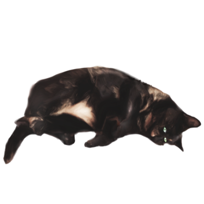 Cat's messages sticker-4