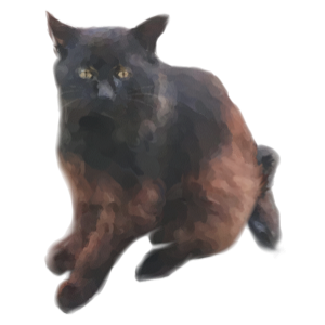 Cat's messages sticker-2