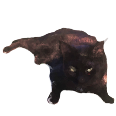 Cat's messages sticker-1