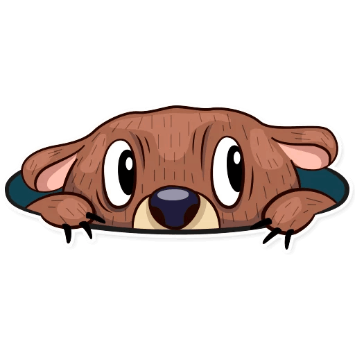 Teddy! Stickers messages sticker-5