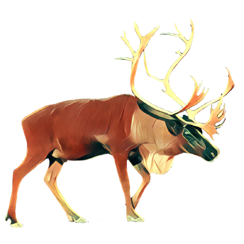 Animals Collection Stickers for iMessage messages sticker-9