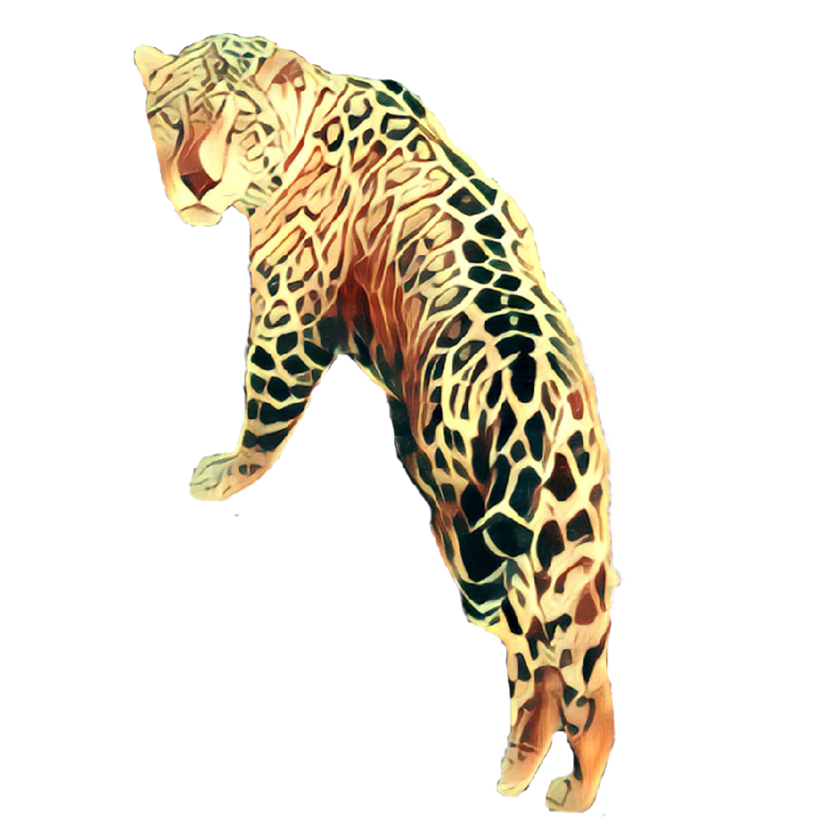 Animals Collection Stickers for iMessage messages sticker-11