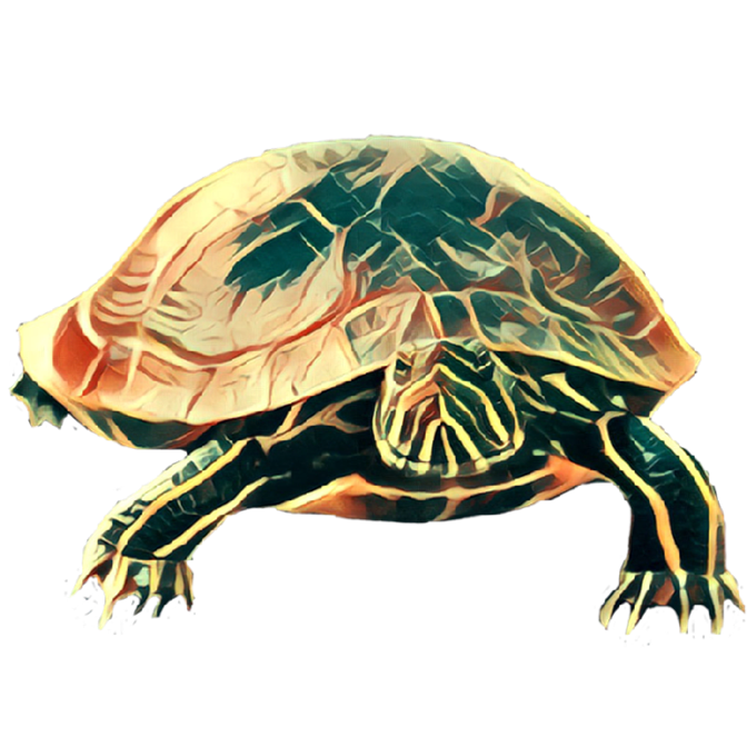 Animals Collection Stickers for iMessage messages sticker-4