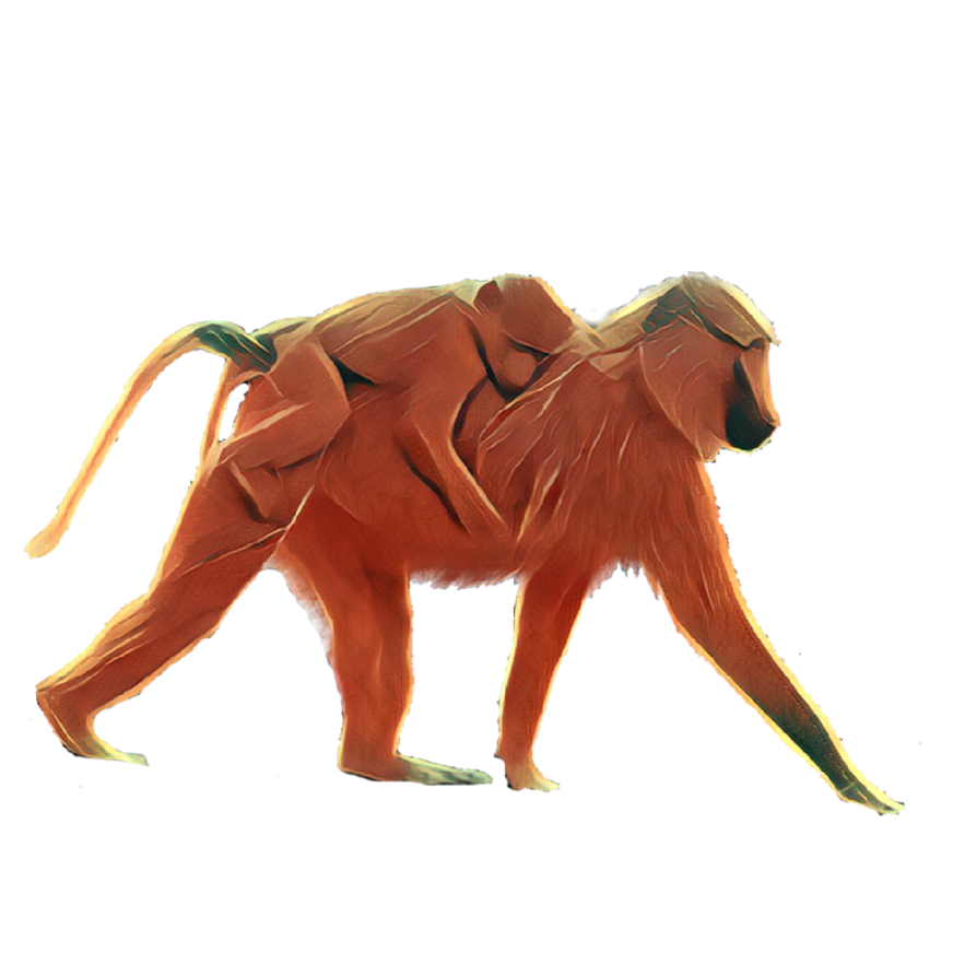 Animals Collection Stickers for iMessage messages sticker-7