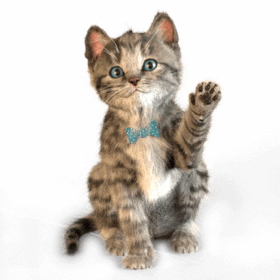 Little Kitten Stickers messages sticker-10