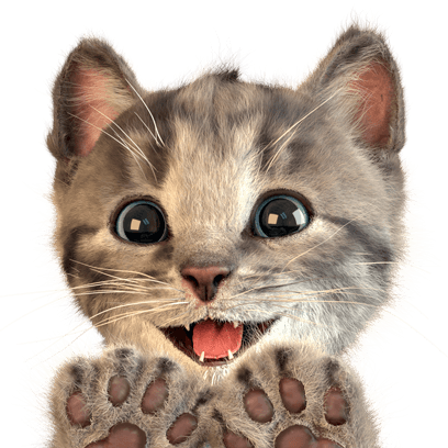 Little Kitten Stickers messages sticker-9