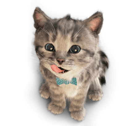 Little Kitten Stickers messages sticker-8