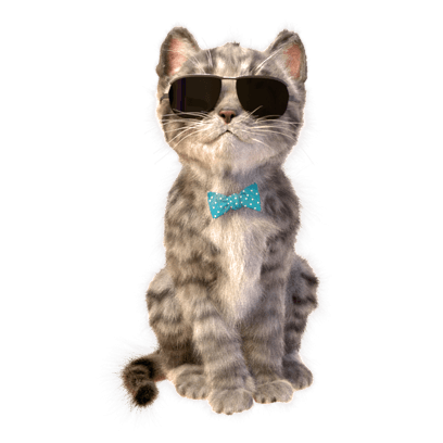 Little Kitten Stickers messages sticker-11