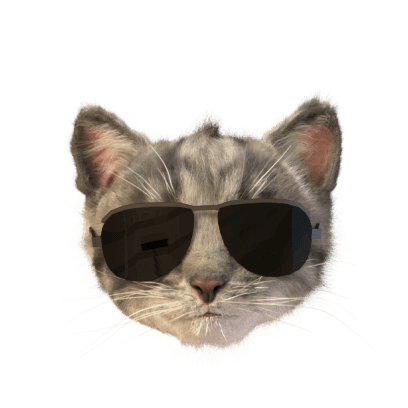 Little Kitten Stickers messages sticker-6