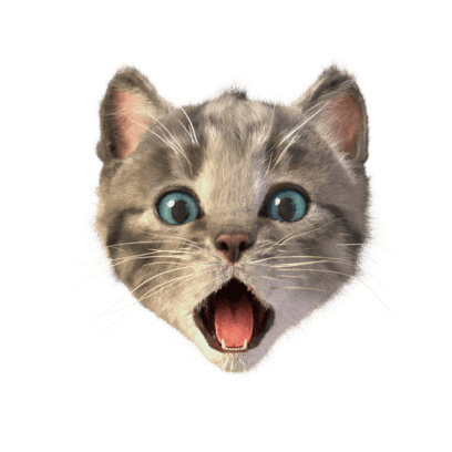Little Kitten Stickers messages sticker-1