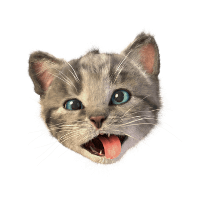 Little Kitten Stickers messages sticker-9