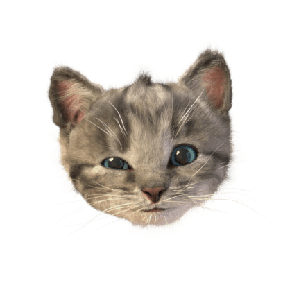 Little Kitten Stickers messages sticker-7