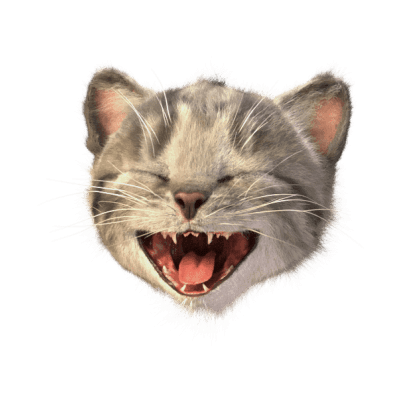 Little Kitten Stickers messages sticker-5