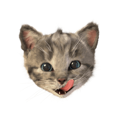Little Kitten Stickers messages sticker-11