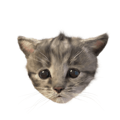 Little Kitten Stickers messages sticker-2