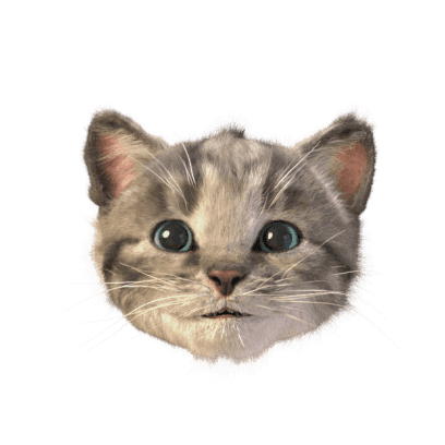 Little Kitten Stickers messages sticker-4
